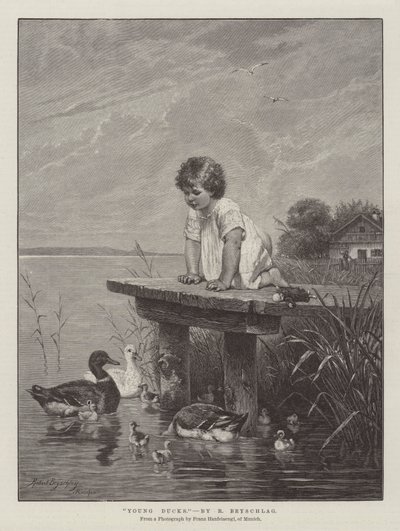 Jonge eenden door Robert Julius Beyschlag